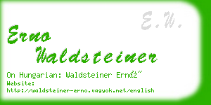 erno waldsteiner business card